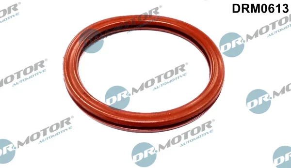 Těsnění, koleno sacího potrubí Dr.Motor Automotive DRM0613