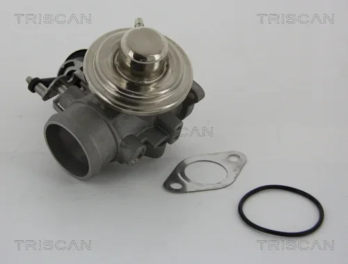 AGR-Ventil TRISCAN 881329001 AGR-Ventil TRISCAN 881329001