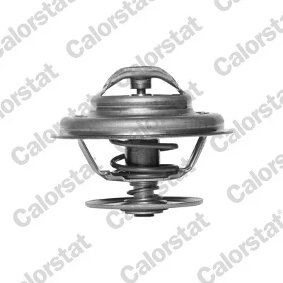 Termostat, chladivo CALORSTAT by Vernet TH5963.80J