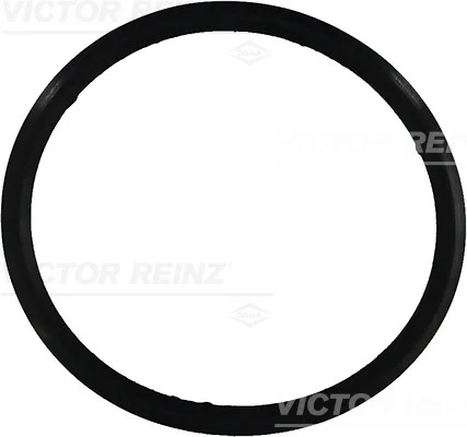 Těsnění, kryt hlavy válce VICTOR REINZ 71-31649-00 – OE 6060160221