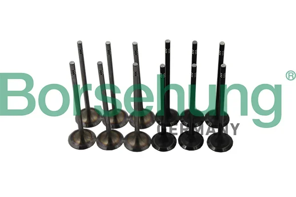 Ventil Borsehung B19160 Ventil Borsehung B19160