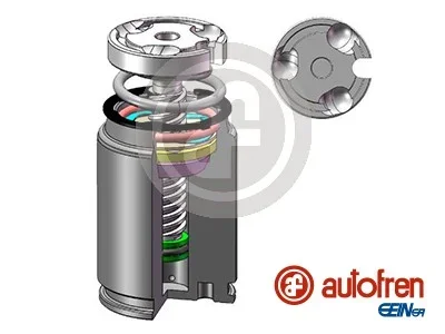 Píst, brzdový třmen AUTOFREN SEINSA D02545LK