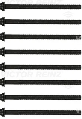 Sada sroubu pro hlavy valcu VICTOR REINZ 14-32324-01