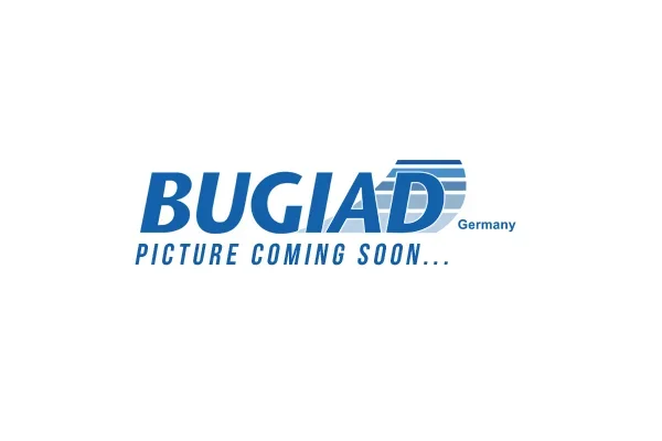 Čep nápravy, zavěšení kol BUGIAD BSP25131PROKIT