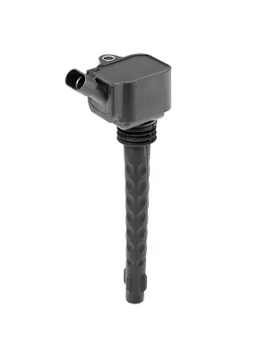 Zapalovací cívka BorgWarner ZS573 Zapalovací cívka BorgWarner ZS573