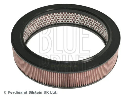 Vzduchový filtr BLUE PRINT ADN12263